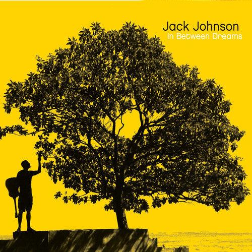 Jack Johnson- In Between Dreams
